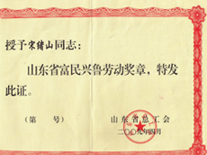 Апреля 2009 года, Песня Сюй Шан провинции Шаньдун был награжден обогащения Xing 